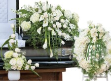 Sympathy, Shop Now